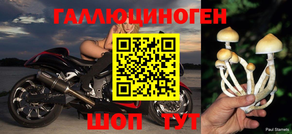 Галлюциногенные грибы Magic Shrooms  Галлюциногенные грибы Cubensis  Вход с VPN  Волгодонск 
